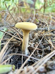 IMG_5464