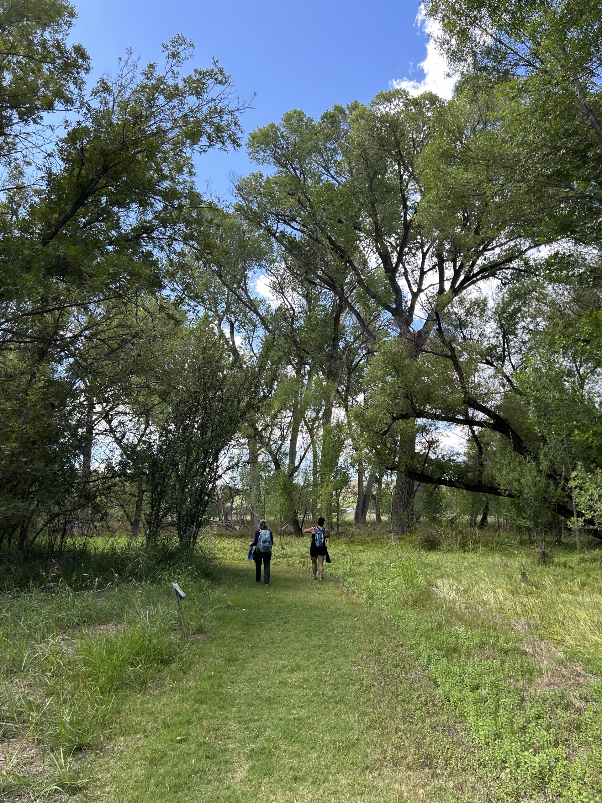 Photo of two women waking away from the camera on a grass-covered path through a meadow lined with tall cottonwood trees.
